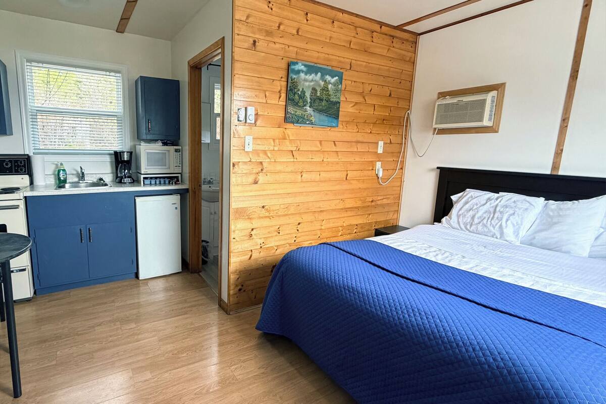 Een slaapkamer met een bed, een houten wand, een schilderij en een kitchenette met een magnetron en kastjes.