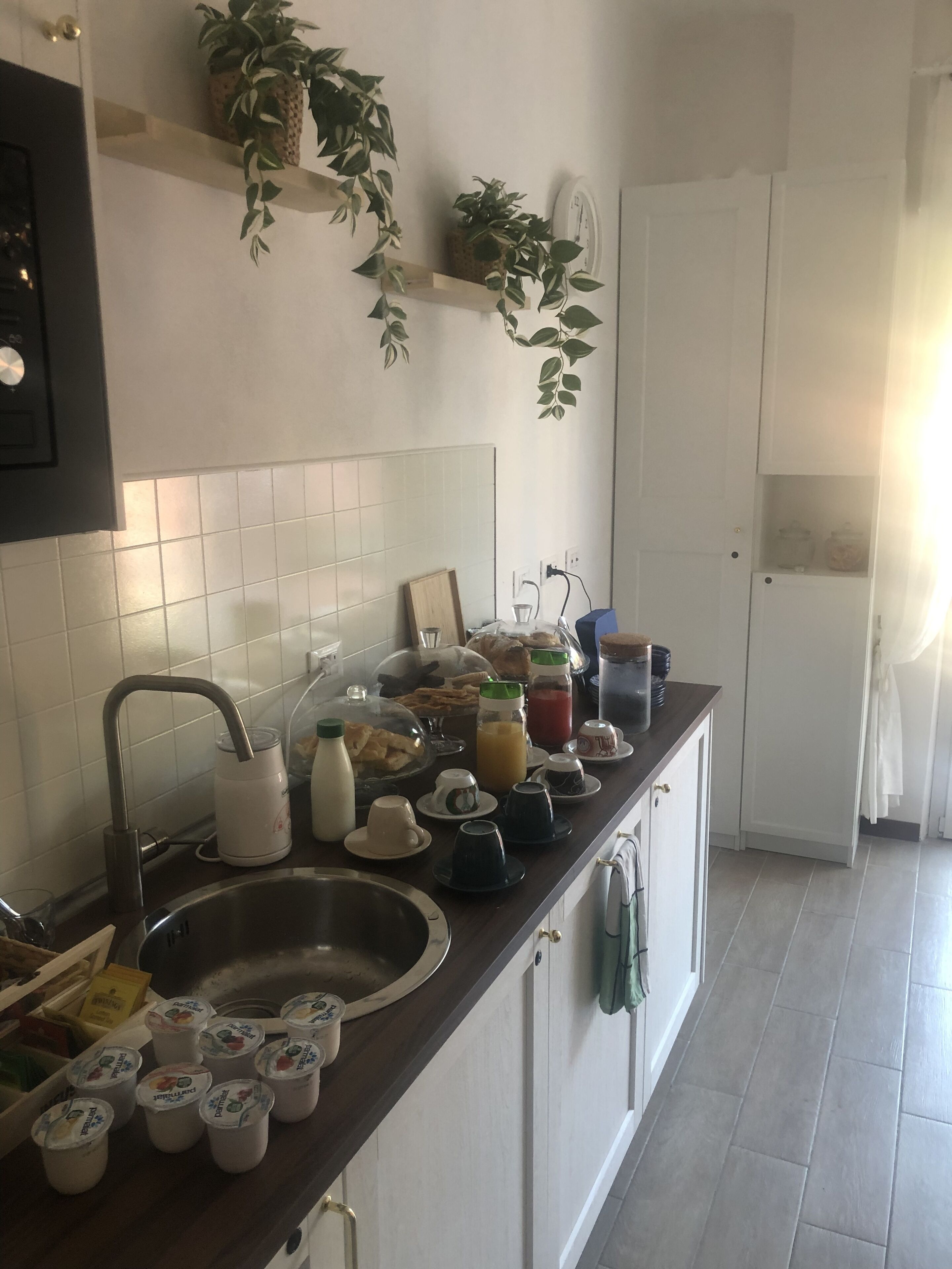 Una cucina con lavello, piano di lavoro e diversi articoli per la colazione. Si vedono piante in vaso sulla parete e una porta sullo sfondo.