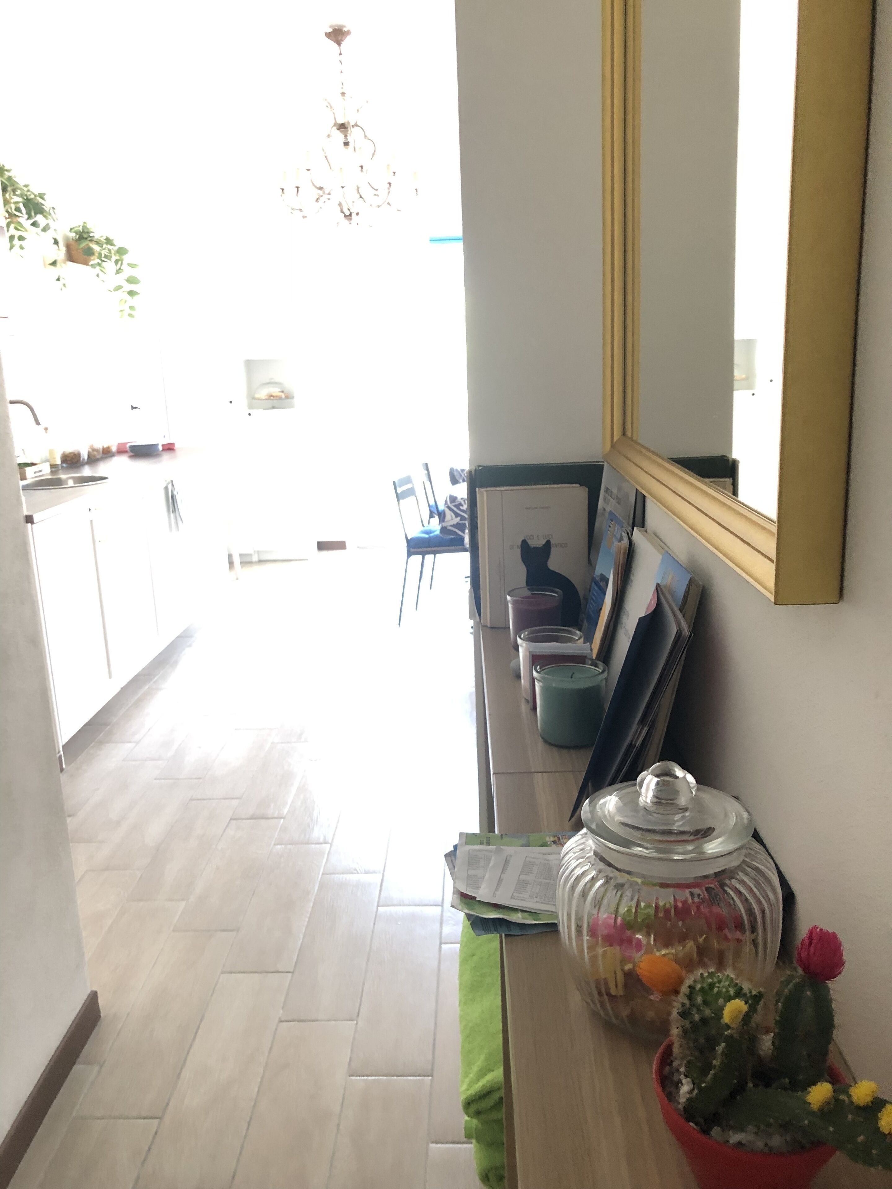 Una cocina luminosa con un lavamanos, armarios y una encimera. Hay un espejo en la pared y una planta de cactus en la encimera.
