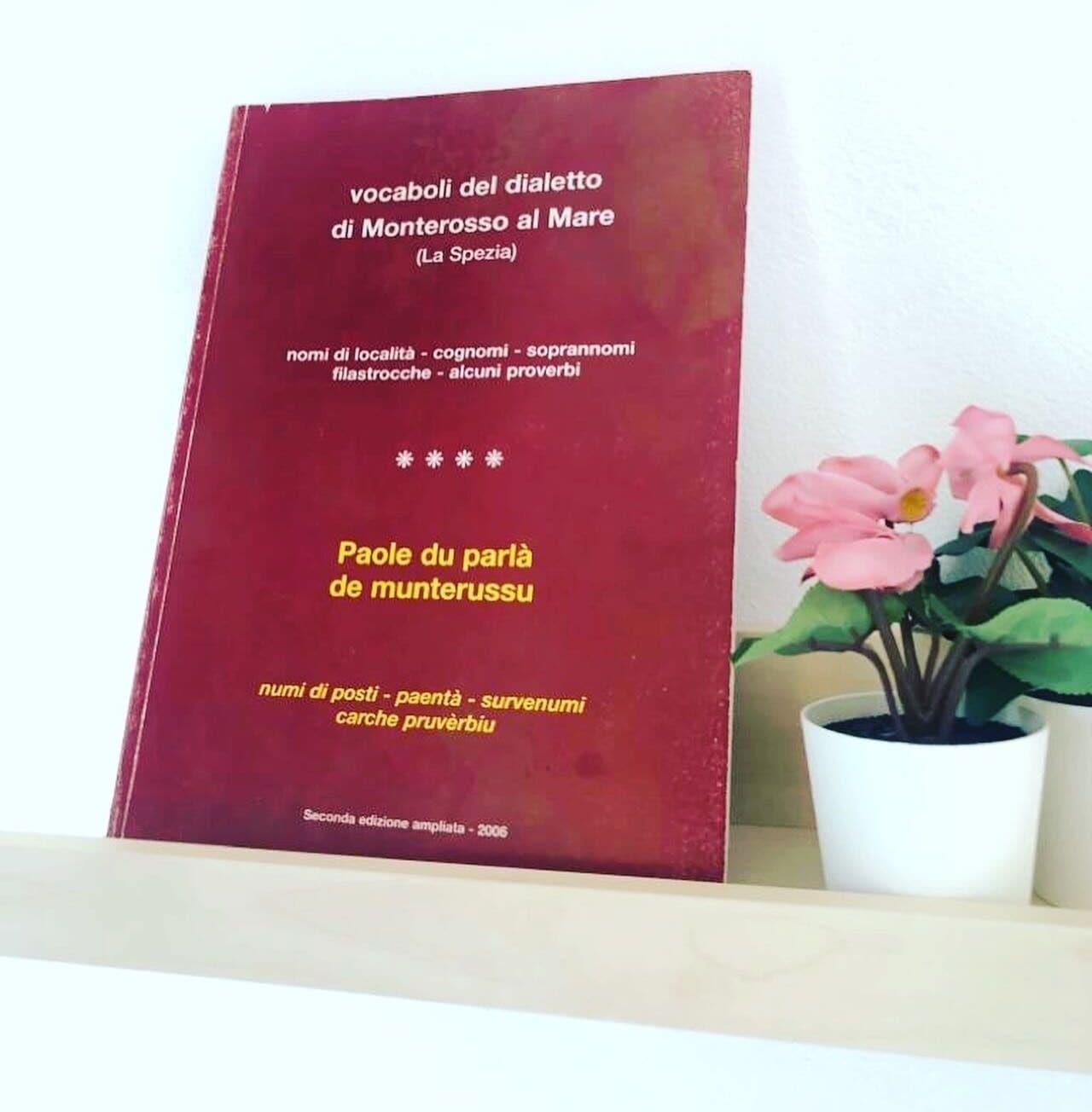 Un libro titulado 'Vocabolari del dialetto di Monterosso al Mare (La Spezia)' con el subtítulo 'Paule du parlà de munterussu'.
