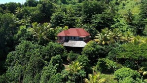A house surrounded by dense tropical vegetation. - Private wooden villa with stunning ocean views, in an enchanting garden setting. (Salybia Kalinago Territory)