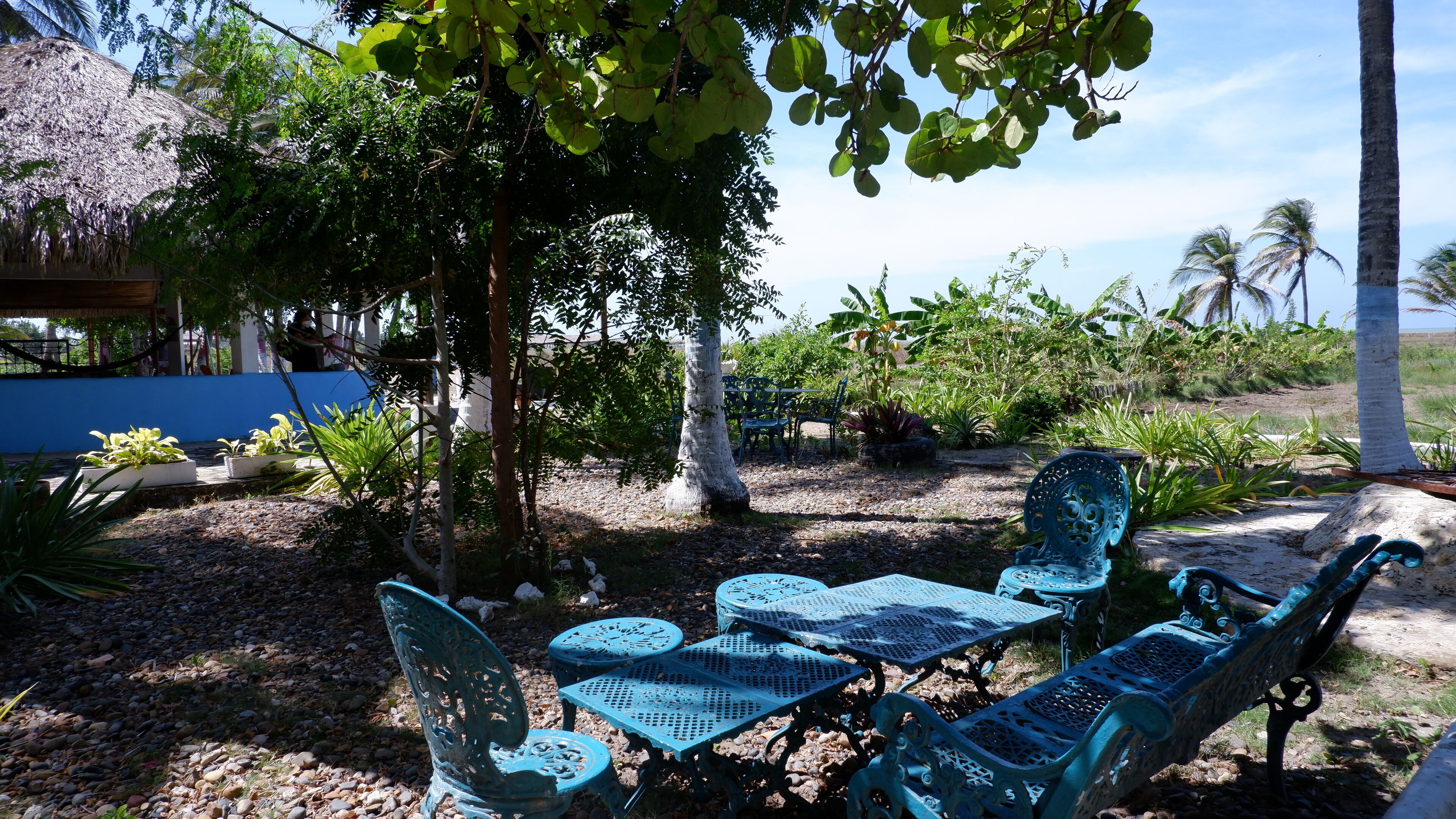 Un espace extérieur aménagé avec des tables et des chaises en métal, entouré de plantes tropicales et de palmiers.