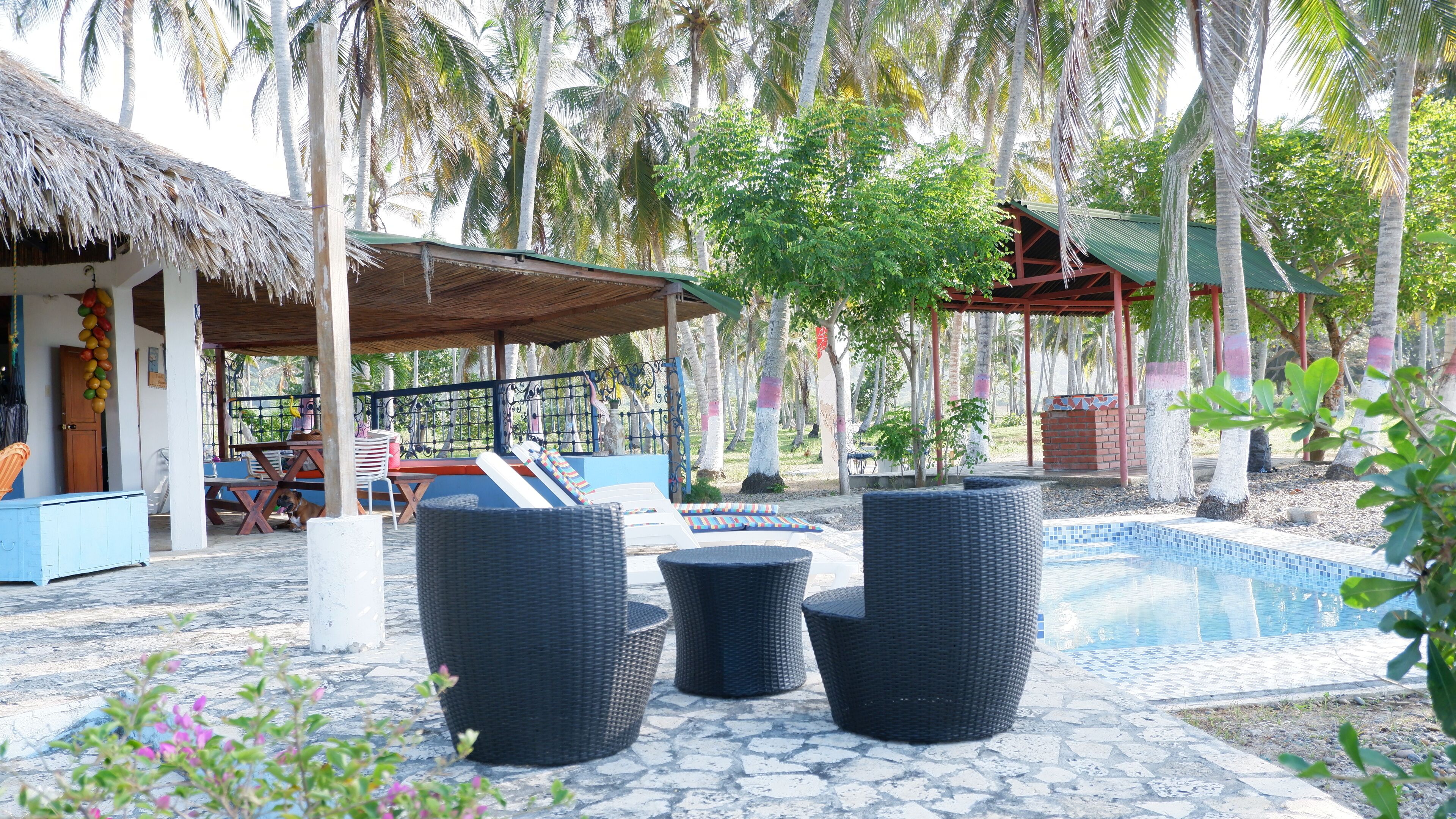 Outdoor pool, sun loungers