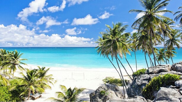 A beach with clear turquoise water, white sand, and palm trees. - Home Away From home. (Bridgetown)