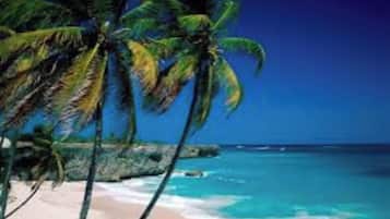 Playa en los alrededores