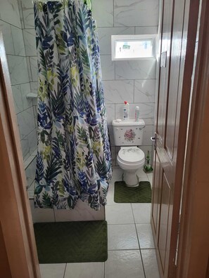 シャワー、タオル、石鹸、トイレットペーパー