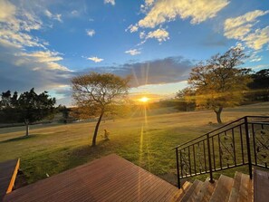 Property grounds - Orange cottage in Lovedale (Lovedale)