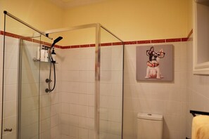 Shower, hair dryer, towels, soap