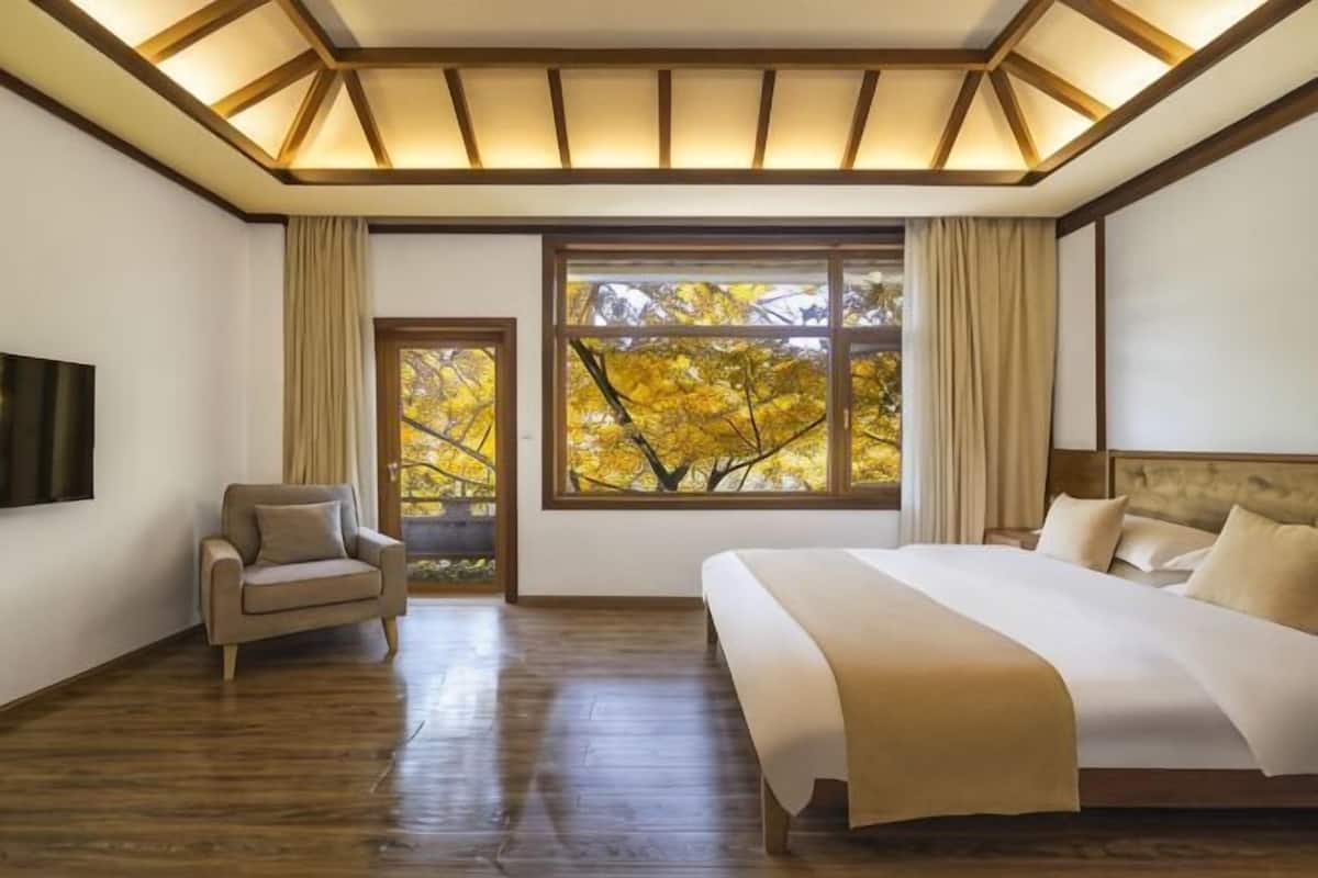 A bedroom with a large bed, a chair, a TV, and a window with a view of trees.