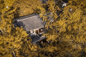 Un edificio rodeado de árboles frondosos.