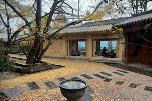 Un edificio tradicional con un patio empedrado, un árbol grande y una fuente de agua.