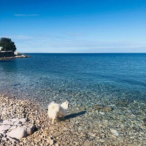 Apartemen | 2 kamar tidur