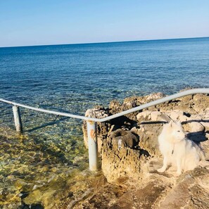 Apartemen | 2 kamar tidur