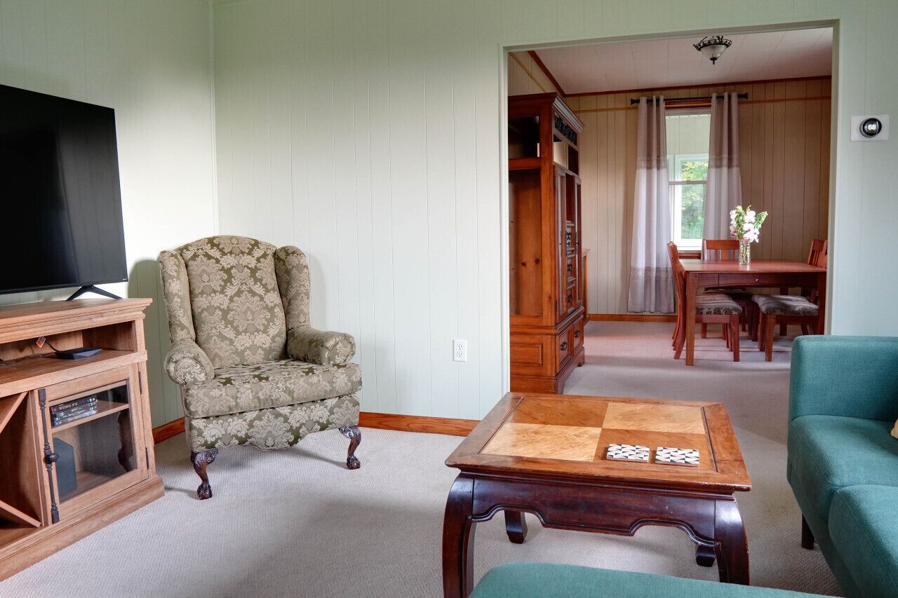 Een woonkamer met een televisie, een fauteuil met een patroon, een houten salontafel en een eethoek met een tafel en stoelen.