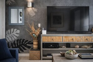 Fernseher, Stereoanlage