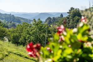 Property grounds - Apartment "Decker" with Shared Terrace, Balcony and Wi-Fi (Oberkirch)