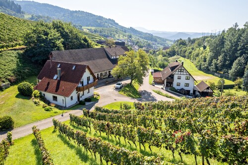 Ferienwohnung "Decker" mit Gemeinschaftsterrasse, Balkon und WLAN