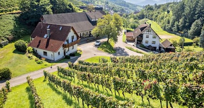 Ferienwohnung "Decker" mit Gemeinschaftsterrasse, Balkon und WLAN