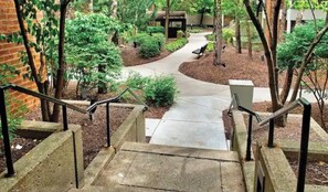 Property grounds - BEAUTIFUL COZY APARTMENT  (Oak Park)