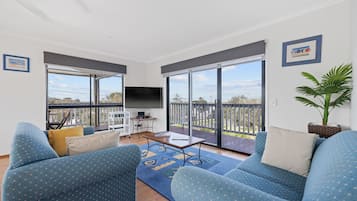 TV, fireplace, DVD player, video library