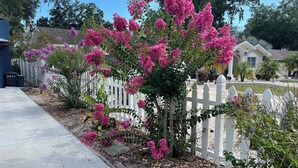 Et boligområde med hvide plankeværker, en støbt indkørsel og blomstrende planter.