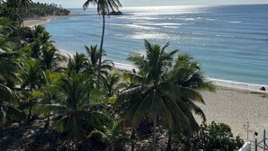 A beach with palm trees, a clear sky, and a view of the ocean. - Beach front apartment with spectacular views.
 (Juan Dolio)