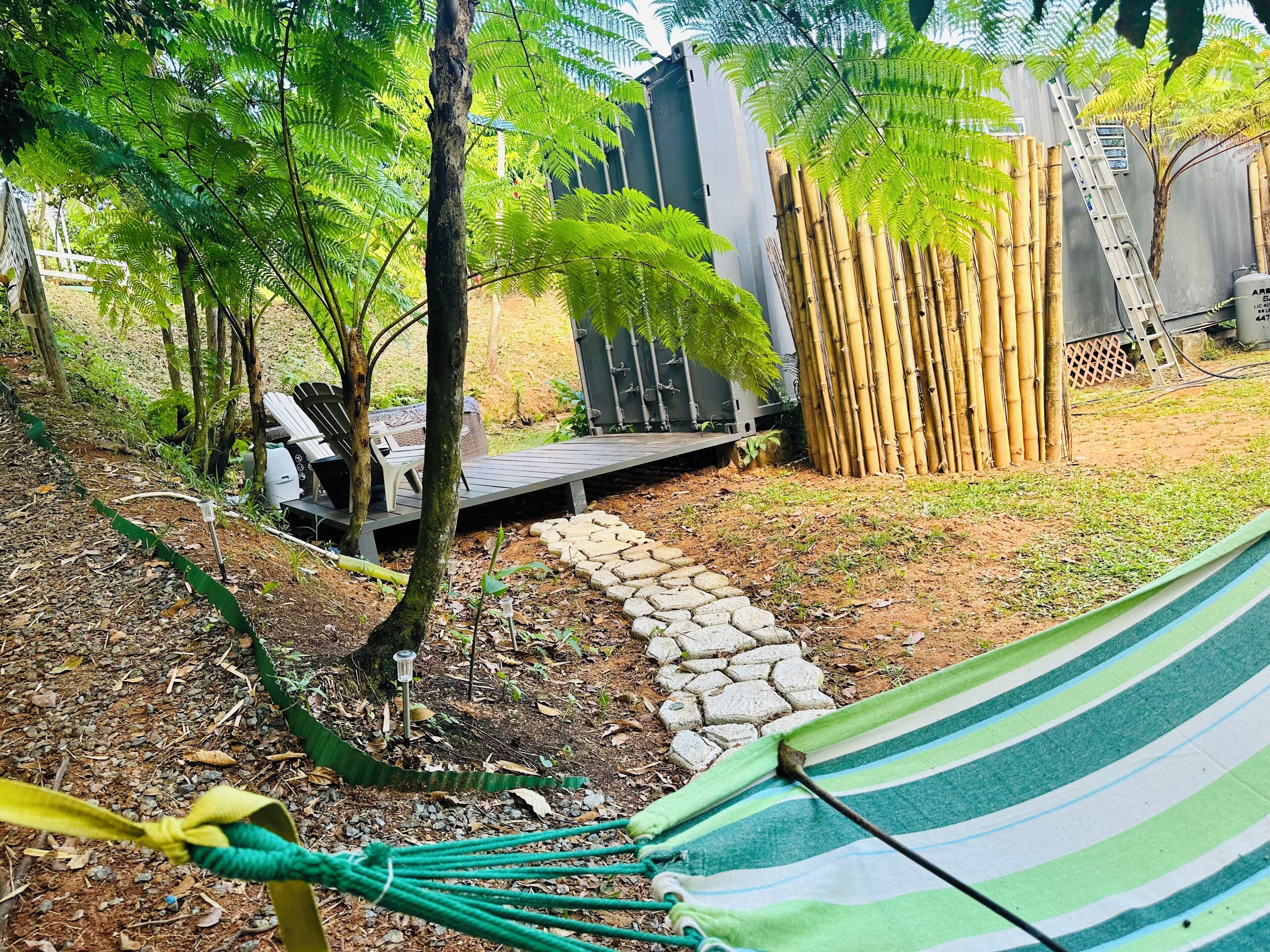 deck and hammock