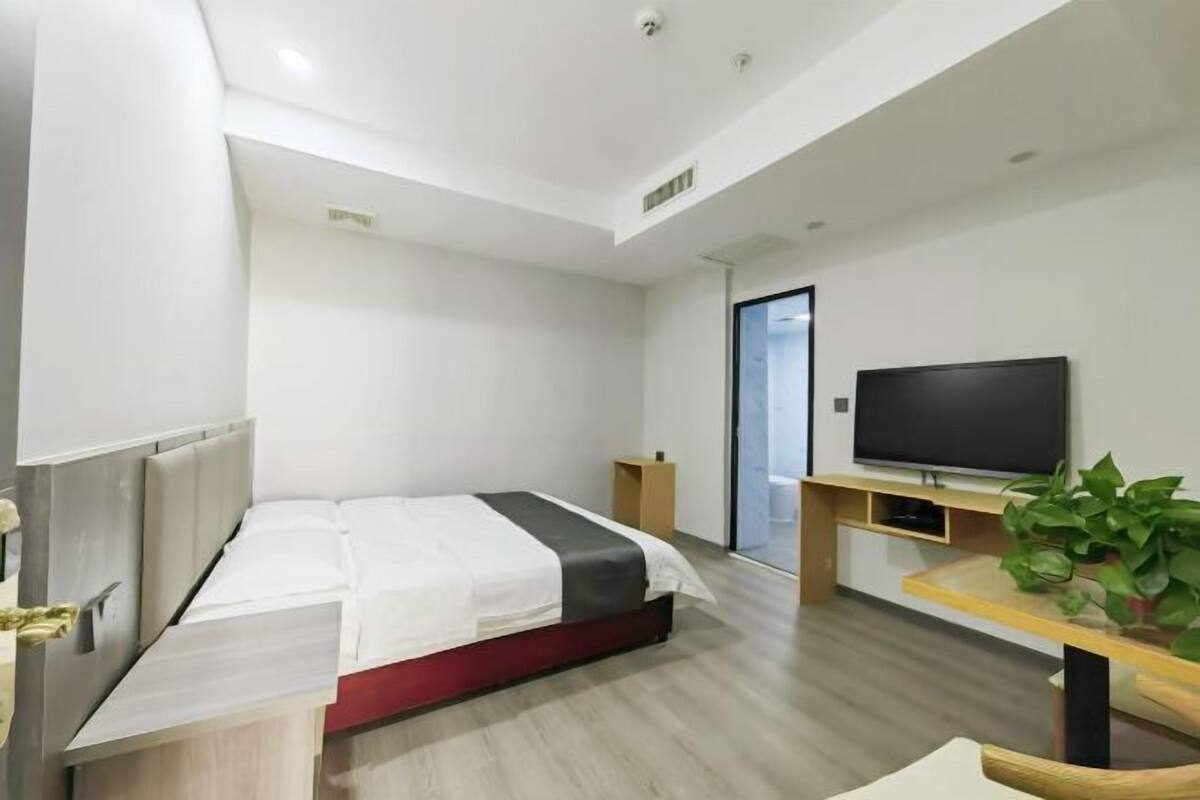 A modern hotel room with a bed, a TV, a desk, and a plant.