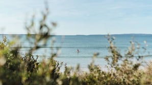 Une scène de plage avec une personne dans l’eau, de la végétation au premier plan et un ciel dégagé.