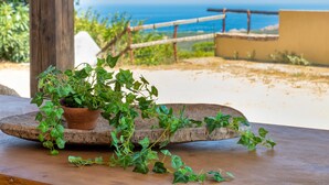 A potted plant on a rustic wooden table with a view of the ocean and a fence in the background.