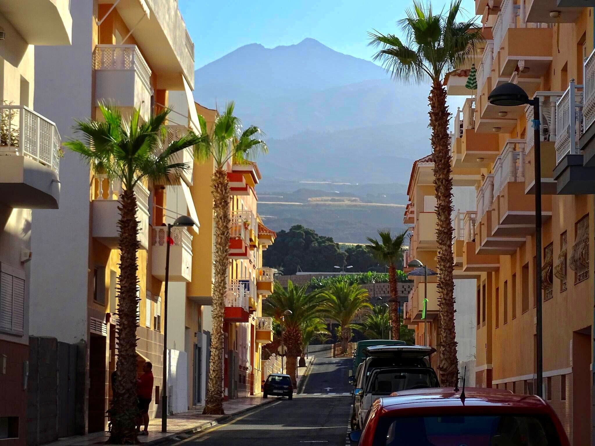 Calle bordeada de palmeras y edificios, que se extiende hacia una montaña.