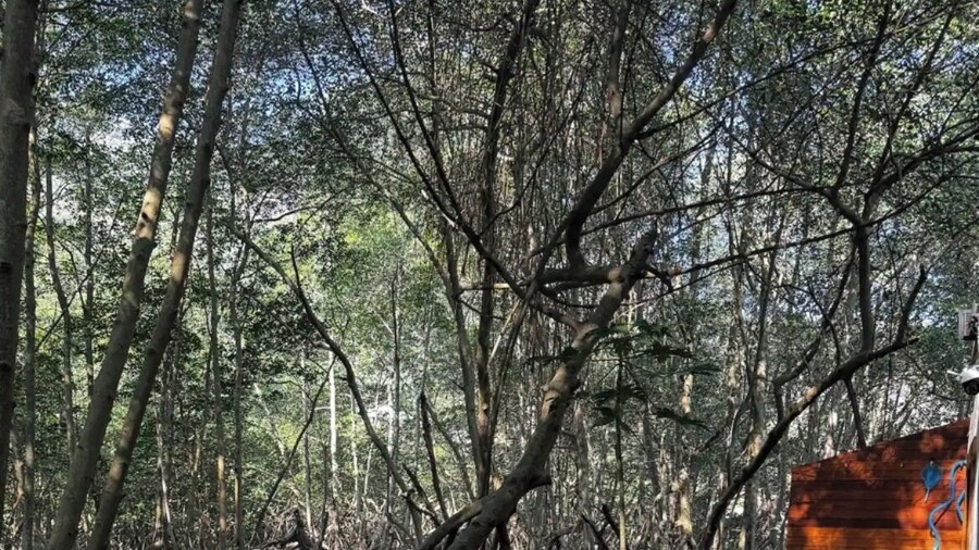 Veneza Carioca Hotel Boutique