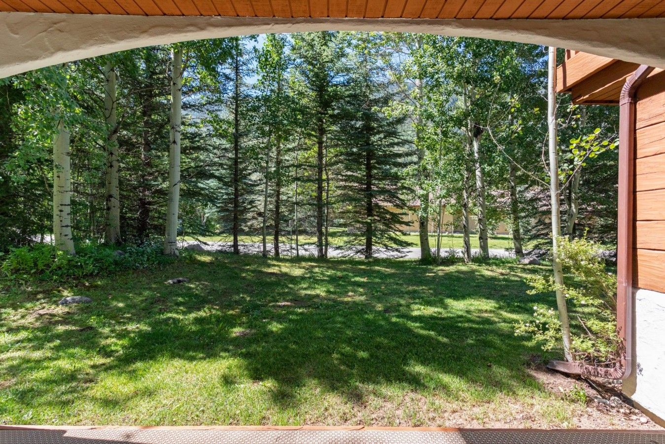 Un espace extérieur abrité offrant une vue sur un paysage boisé.