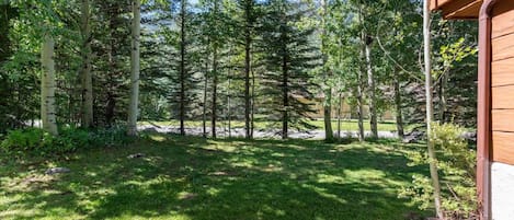 Un espace extérieur abrité offrant une vue sur un paysage boisé.