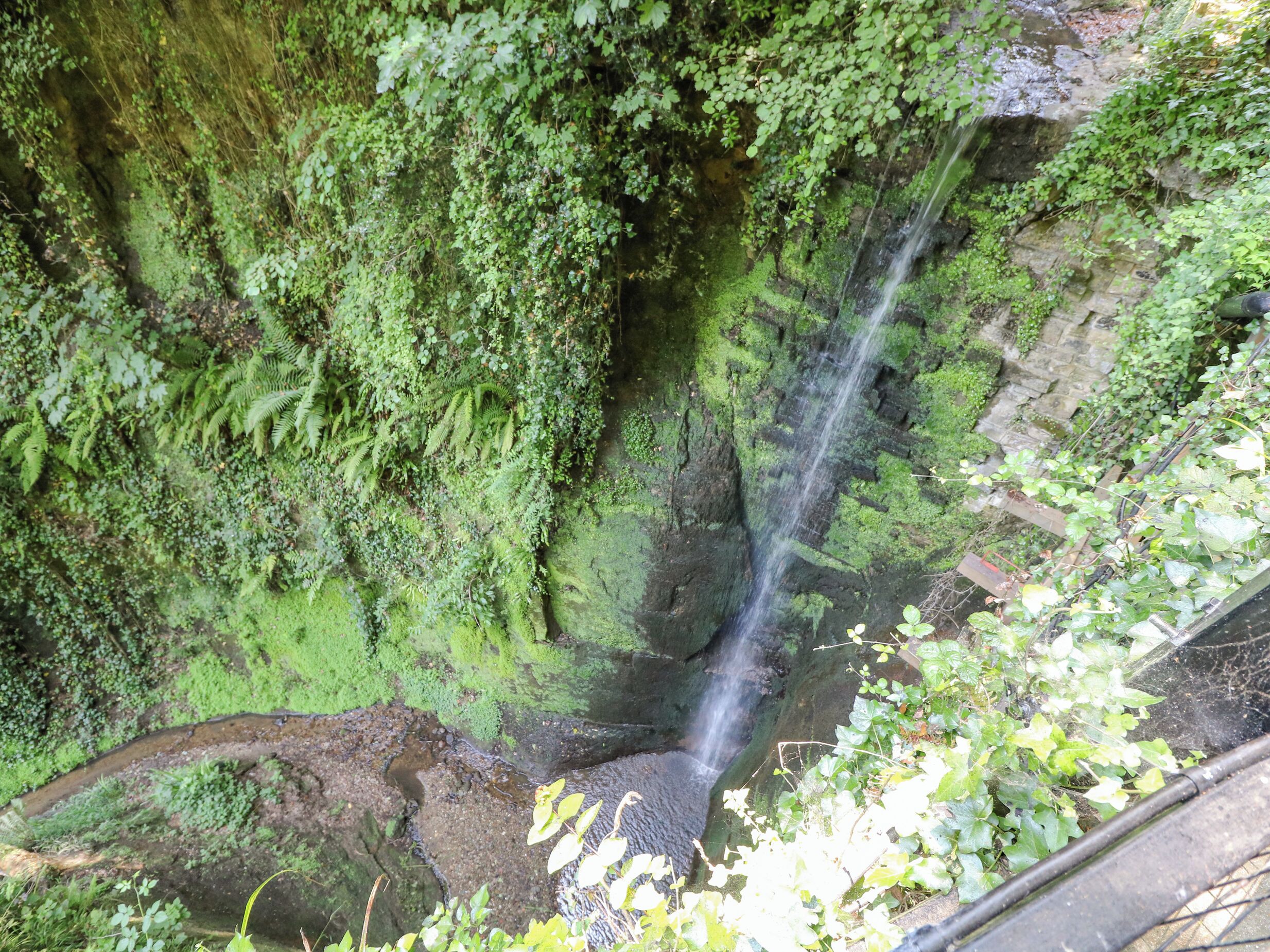 A waterfall surrounded by dense green foliage.