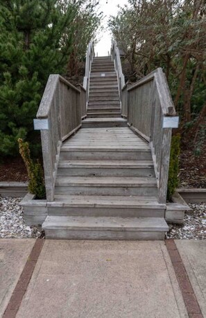 Una escalera de madera que conduce a un nivel superior, rodeada de árboles.