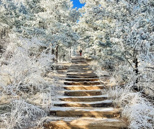 Perfect location, close to the Incline and everything that Manitou has to offer.