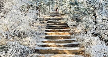 Perfect location, close to the Incline and everything that Manitou has to offer.