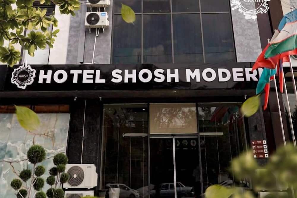 Shosh Modern
