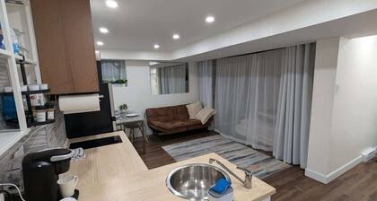 Affordable Cozy Basement Studio
