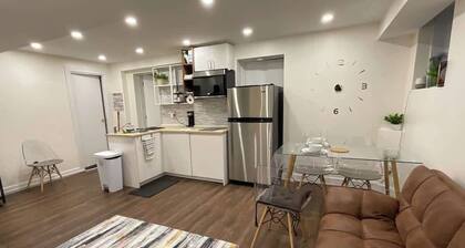 Affordable Cozy Basement Studio