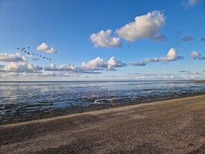 Beach - Einzigartiges Ländliches Ferienhaus in der Nähe des Wattenmeeres (Slootdorp)