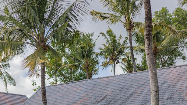 A two-story house with a stone staircase leading to the entrance, surrounded by tropical plants and palm trees. - Ume Sari Nusa (Penida Island)