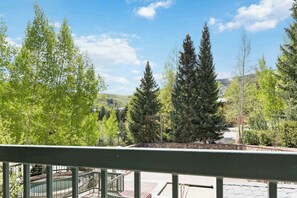 Property grounds - Lower Borders 202 (Beaver Creek)