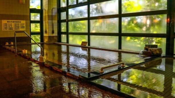 Une piscine intérieure avec des parois en verre transparent, un sol glissant et une vue sur la verdure environnante.