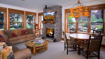 Télévision, cheminée, espaces bureaux