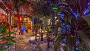 Un jardín interior con un sendero de piedra, mobiliario de madera y plantas tropicales.