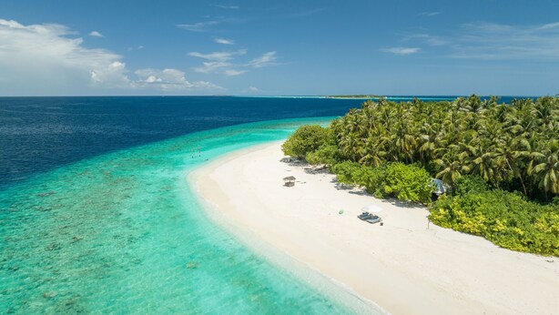 Una playa tropical con aguas turquesas cristalinas, arena blanca y densas palmeras.