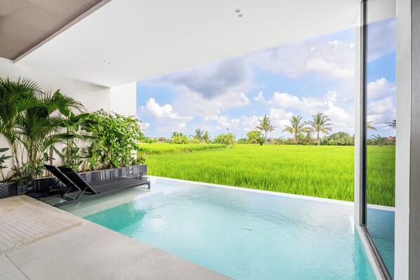 Outdoor pool, sun loungers - Green Flow Villa 8 (Ubud)