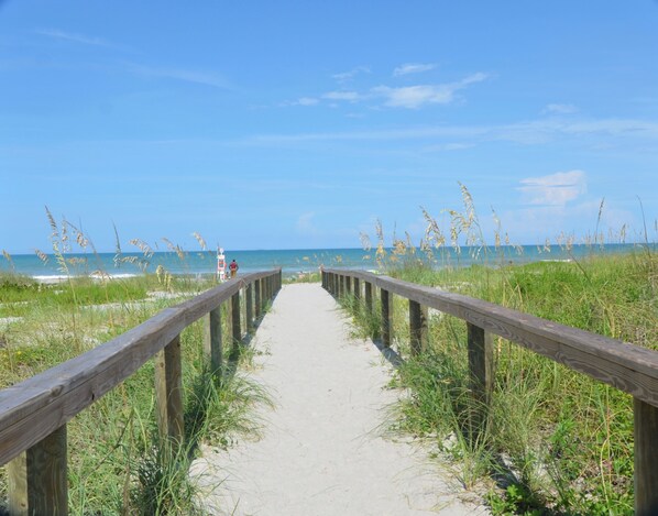 Walk along the beachside boardwalk, flanked by tall grasses and offering a safe path to the ocean.